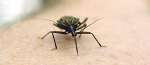 Doença de Chagas