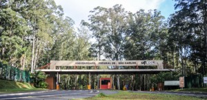 na-ufscar-a-reitoria-e-ocupada-por-um-homem-ate-novembro---quando-a-professora-wanda-aparecida-machado-hoffmann-assume-a-administracao-1473711319993_615x300