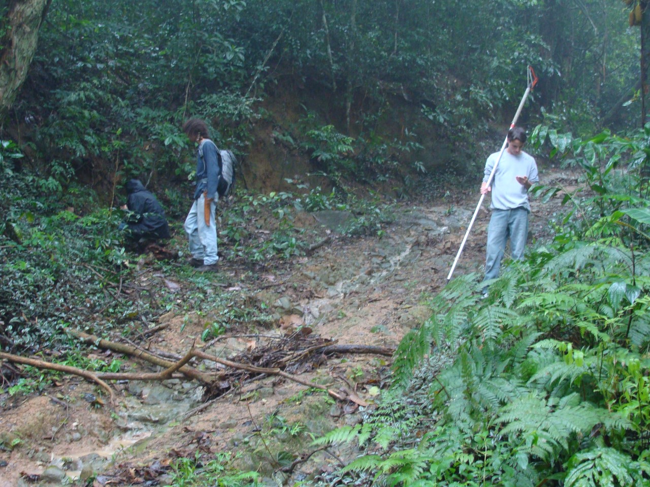 Central de Fiscalização do Parque Municipal do Curió: Veja o projeto –  Prefeitura de Paracambi