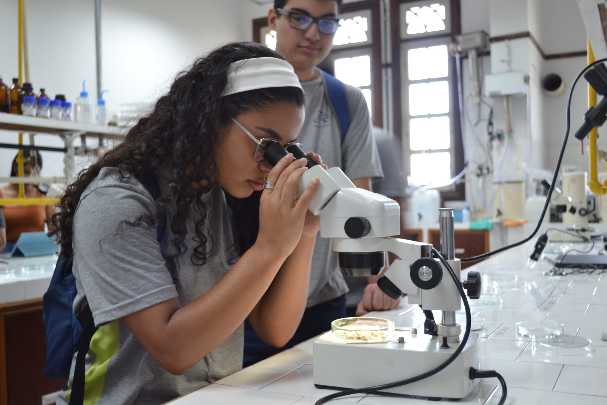 Estudante observa estrutura interna de inseto pelo microscópio