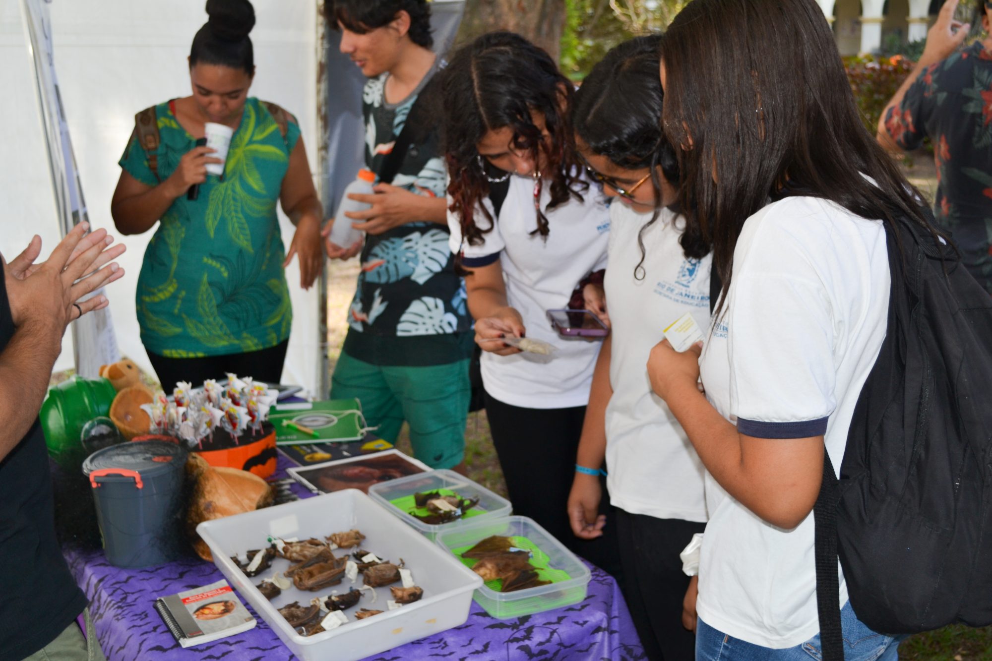 Estudantes observam morcegos taxidermizados