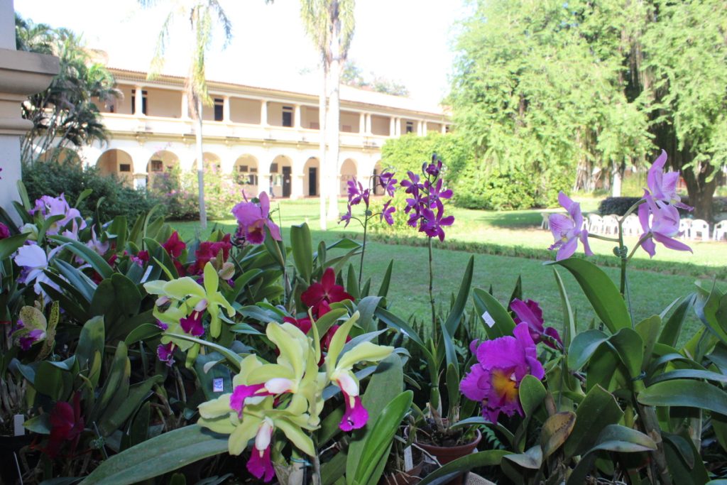 XVIII Exposição de Orquídeas e Bromélias