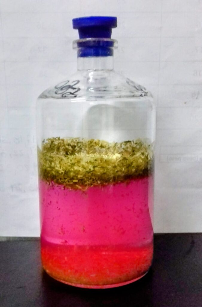 Fermentação in vitro: simulação do intestino grosso equino (foto: divulgação)
