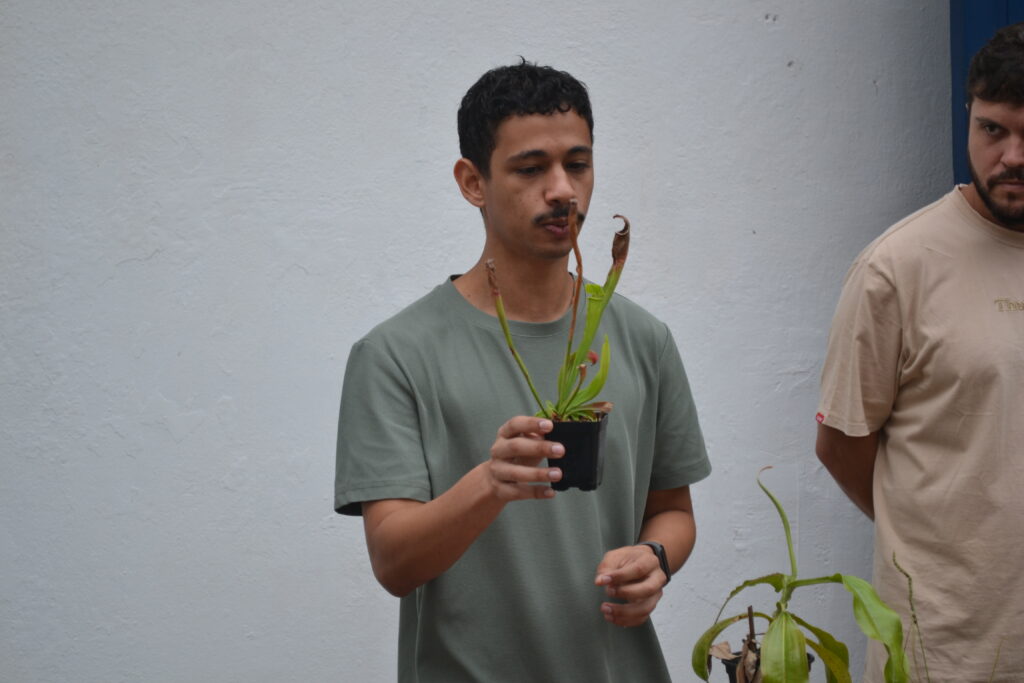  “Predadores verdes: biologia e cultivo de plantas carnívoras”