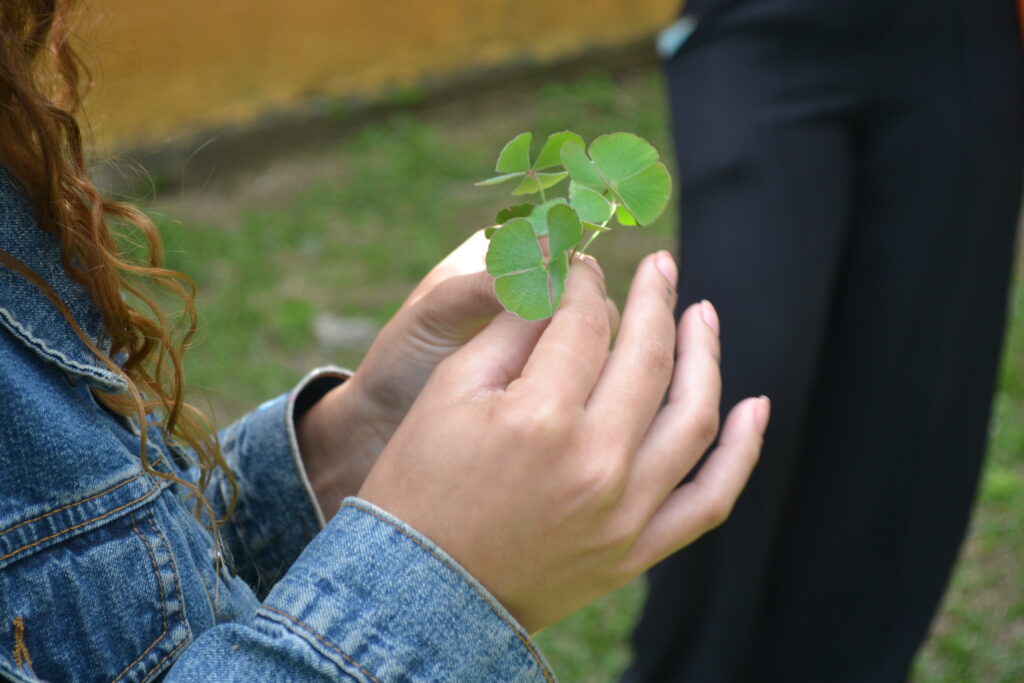 JB/UFRRJ na Semana Nacional de Ciência e Tecnologia