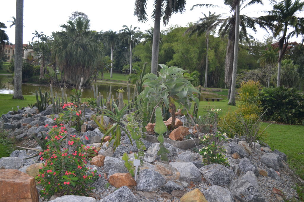 JB/UFRRJ na Semana Nacional de Ciência e Tecnologia