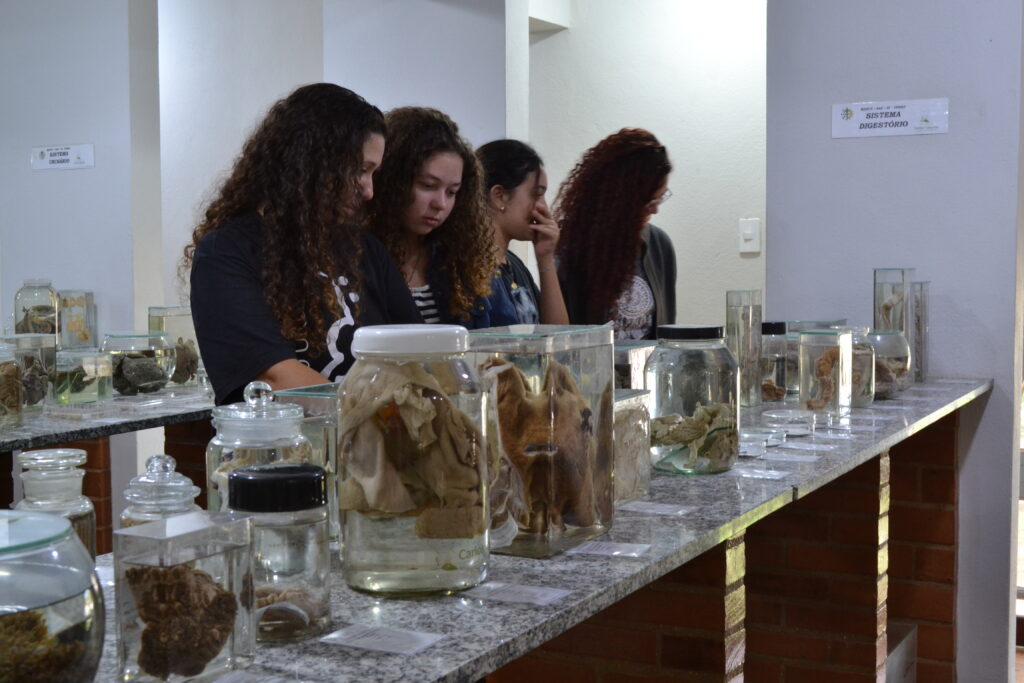  Estudantes de Medicina Veterinária prestigiam mostra científica na SNCT