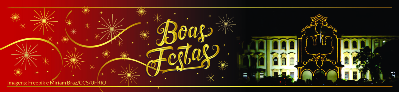 banner-boas-festas