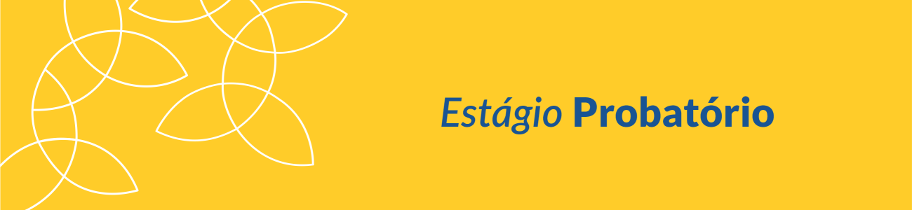Estágio Probatório